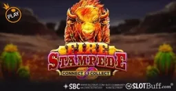 파이어 스탬피드