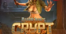 레이더 제인즈 크립트 오브 포춘